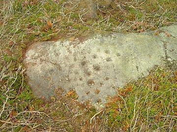 Woofa Enclosure - Cup marked rock