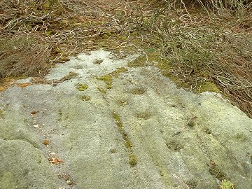 Woofa Enclosure - Cups and grooves