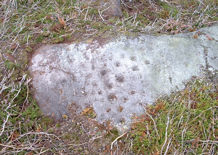 Woofa Enclosure - Cup marked rock