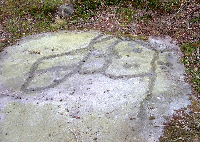 Woofa Enclosure  - Carved stone PRAWR 372