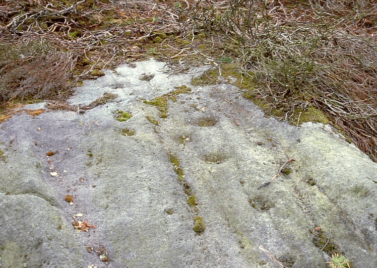 Woofa Enclosure - Cups and grooves