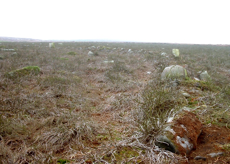 Woofa Enclosure - Boundary wall