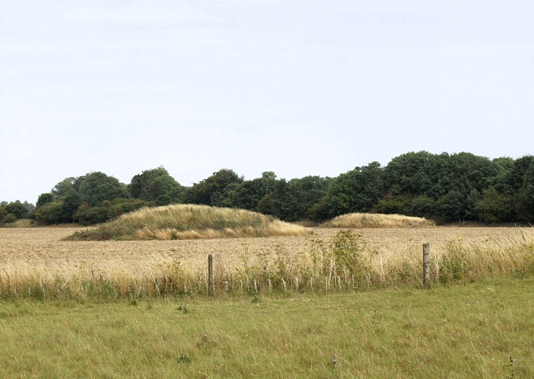 A pair of barrows of the Wyke Down group