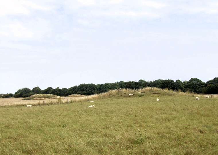 Three round barrow of the Wyke Down group