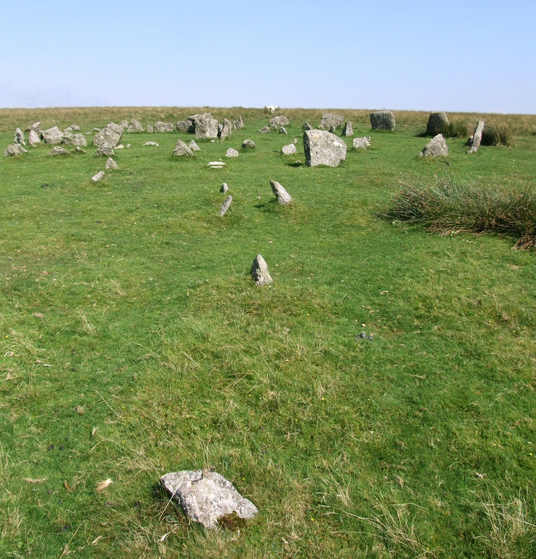 Remains of the small stone row that leads from the southwest to Yellowmead circle