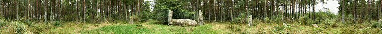 Cothiemuir Wood Recumbent Stone Circle. Aberdeenshire