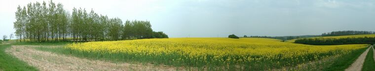 Deadmen's Graves Neolithic Long Barrows. Claxby, Lincolnshire